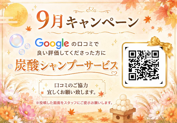 トップ画像5